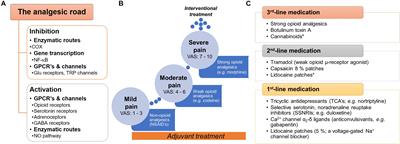 Some Prospective Alternatives for Treating Pain: The Endocannabinoid System and Its Putative Receptors GPR18 and GPR55